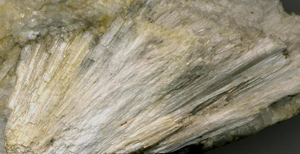 Index of /Amphibole_files/