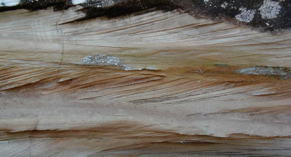 Index of /Crossbedding_files/